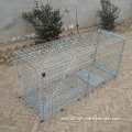 https://www.bossgoo.com/product-detail/bird-catch-trap-humane-animal-trap-62719862.html